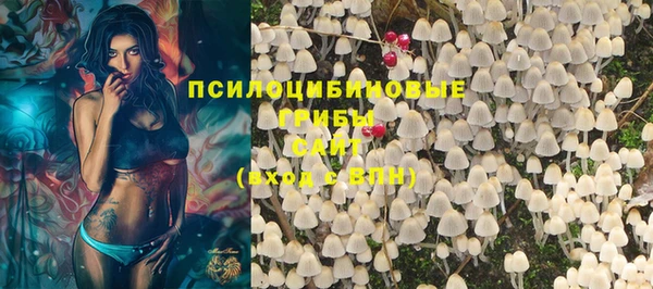 COCAINE Няндома