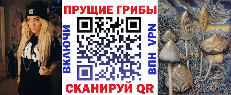 Галлюциногенные грибы Magic Shrooms где найти наркотики Сухиничи